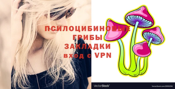 кокс Баксан