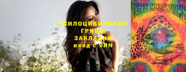 мескалин Балахна