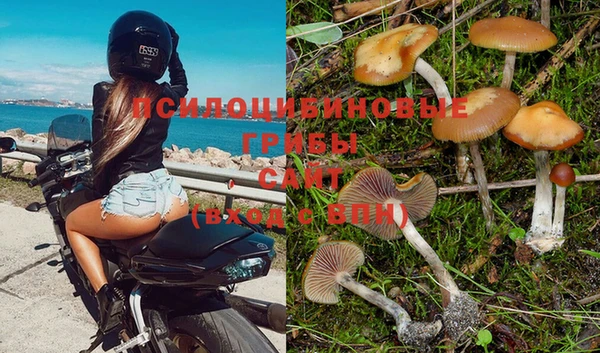 дурь Балабаново