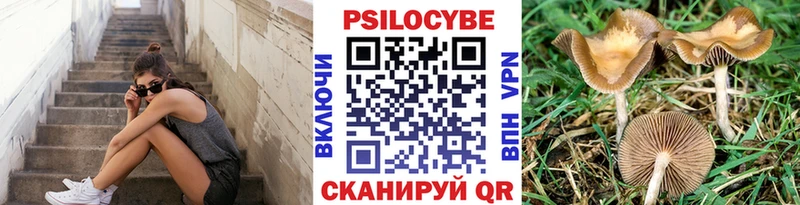 Галлюциногенные грибы Magic Shrooms  нарко площадка Telegram  Нефтегорск  закладки  omg рабочий сайт 